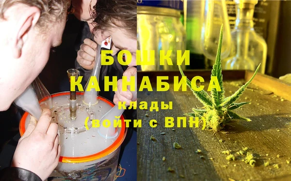 хмурый Вяземский
