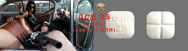 хмурый Вяземский
