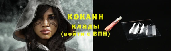 хмурый Вяземский