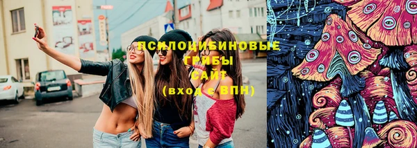 хмурый Вяземский