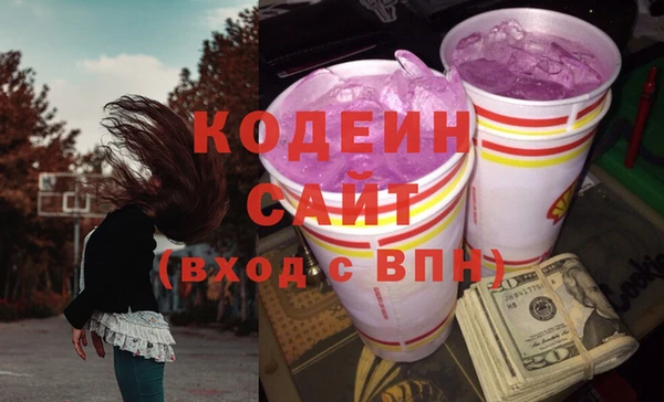 хмурый Вяземский