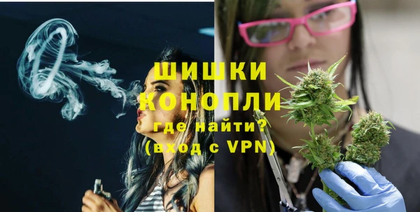 хмурый Вяземский