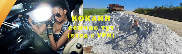хмурый Вяземский