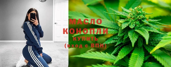 хмурый Вяземский