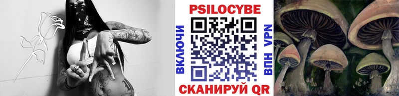 купить наркотики цена Назрань Псилоцибиновые грибы Psilocybine cubensis